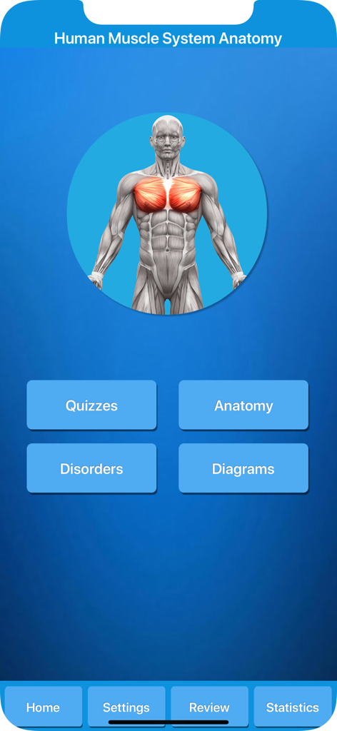 Muscle System Anatomy - Education App | MWM