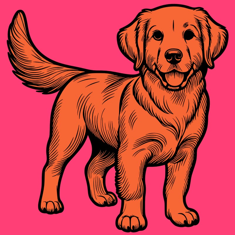 𝓡𝓮𝓪𝓵𝓲𝓼𝓽𝓲𝓬 𝓭𝓸𝓰