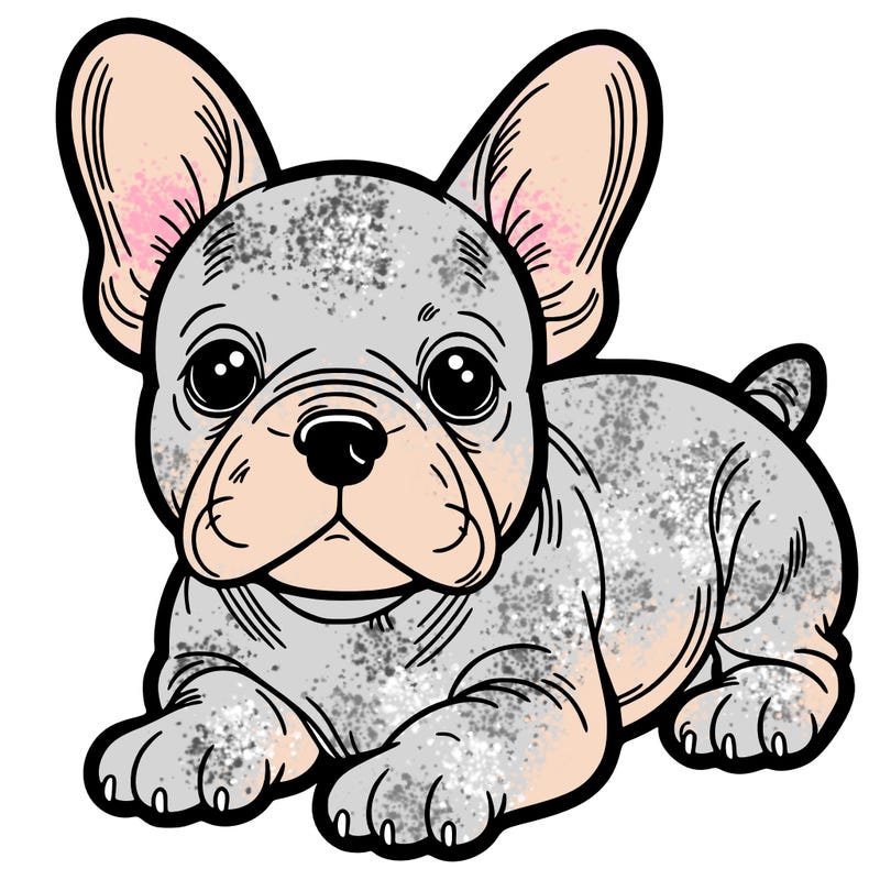 frenchie