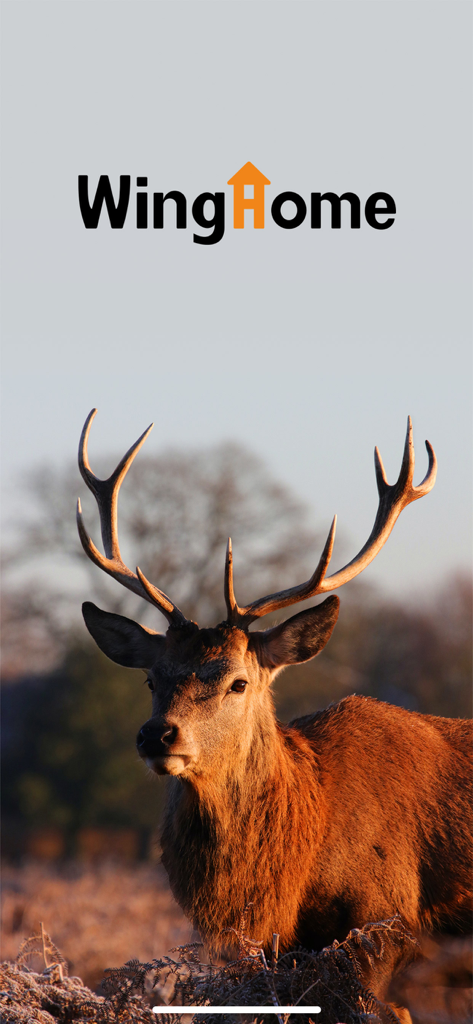 WingHomeCam: 4G Tra - WingHome app splash screen featuring a male deer with antlers in a natural outdoor setting