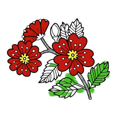 flowers_11