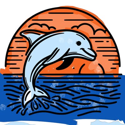 dolphin in a sunset