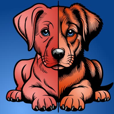 realistic dog split picture