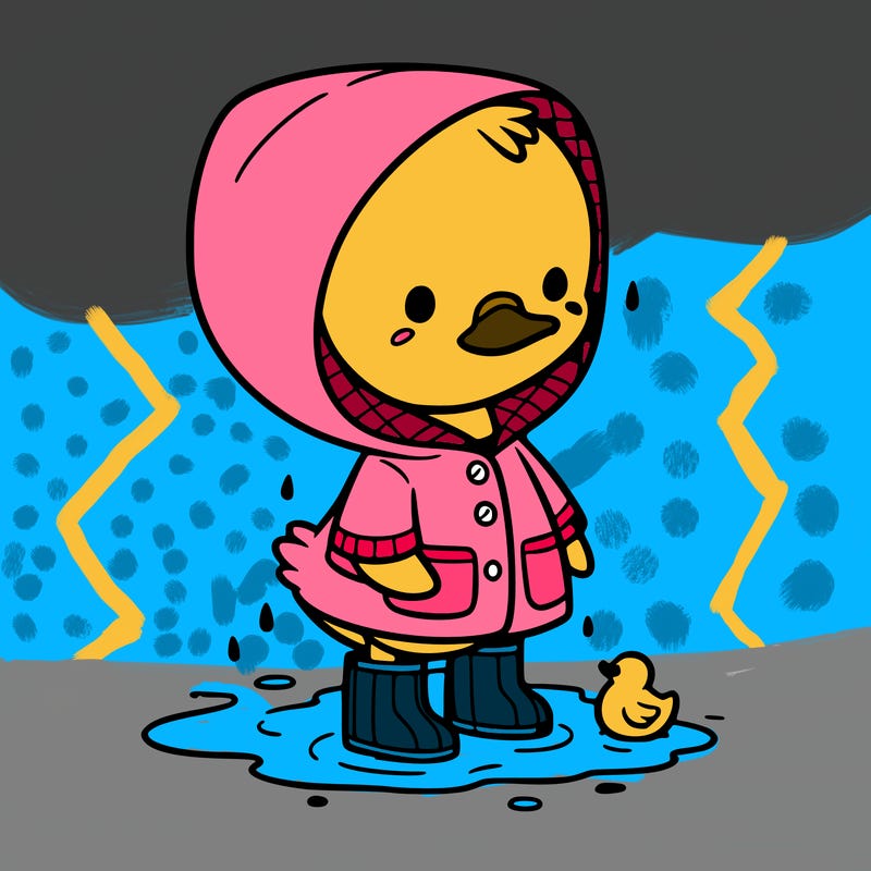 baby duck in a rain coat and boots, in a puddle while it’s raining