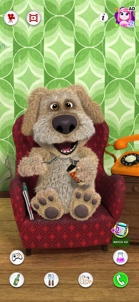 Talking Ben the Dog - Talking Ben le Chien assis dans une chaise rouge et tenant une boîte de nourriture