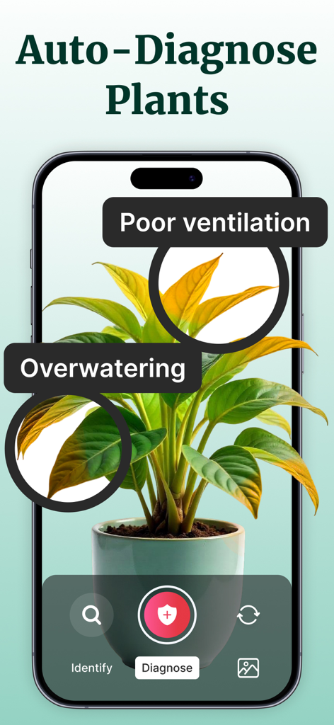 Écran mobile affichant la fonctionnalité IA de Plant Net pour diagnostiquer automatiquement les problèmes de santé des plantes comme l'excès d'arrosage et une mauvaise ventilation.
