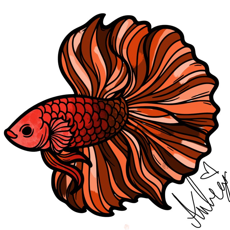 betta fish
