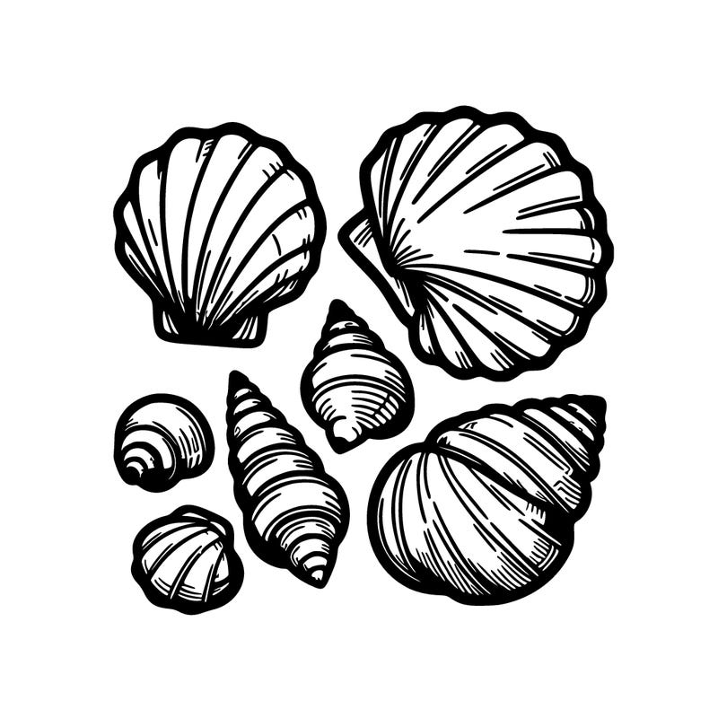shells