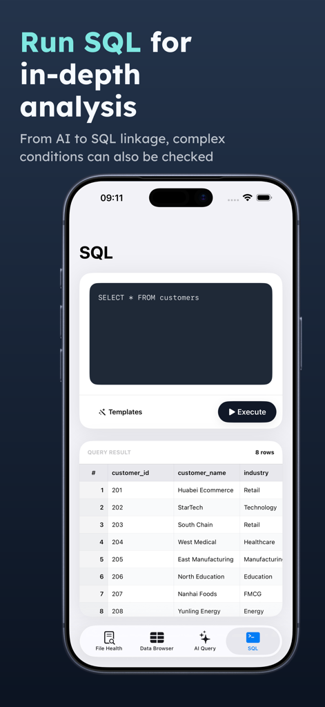 Access Database Viewer: MDB AI - SQL query interface in the Access Database Viewer app showing a customer data results table on an iPhone screen.
