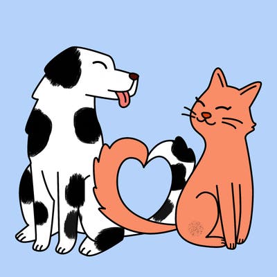 animals_22