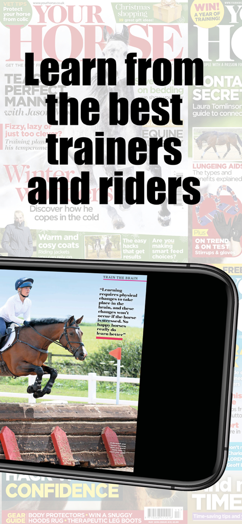 Your Horse - Your Horse magazine app interface showing horse jumping training and expert rider tips