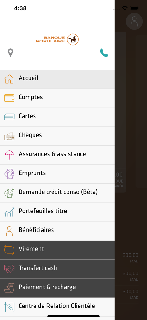 Pocket Bank - Pocket Bank mobile app side navigation menu showing accounts transfers and payment options