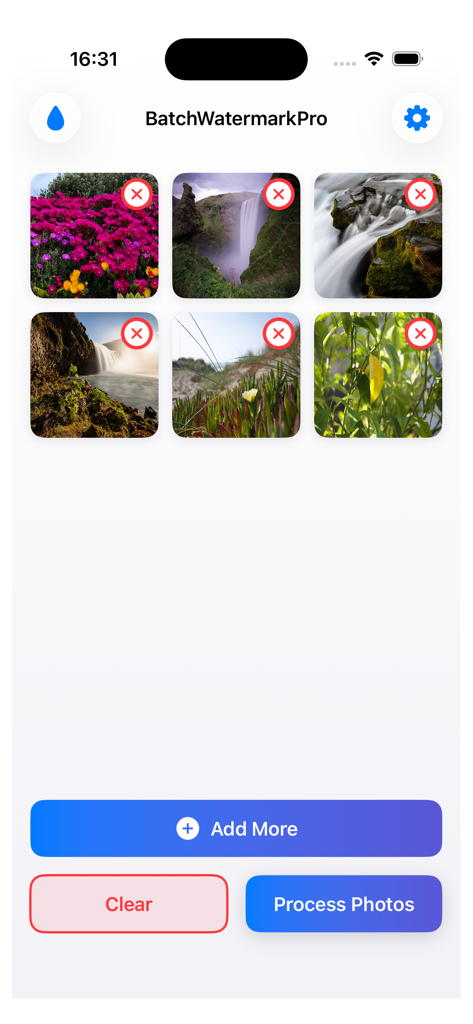 BatchWatermarkPro - BatchWatermarkPro app interface showing a grid of six selected photos with options to add more clear or process