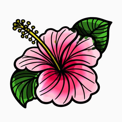hibiscus flower