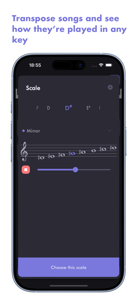 Horucco: Chord Progressions - Horucco app interface showing the scale selection screen for transposing songs into D sharp minor with musical staff visualization.