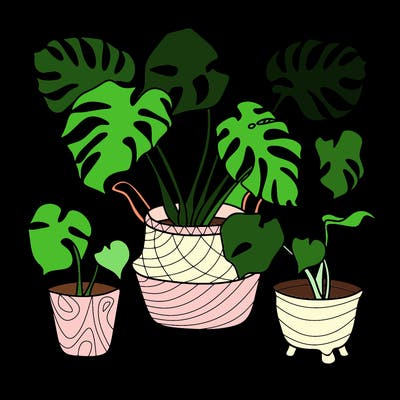 flowers_25