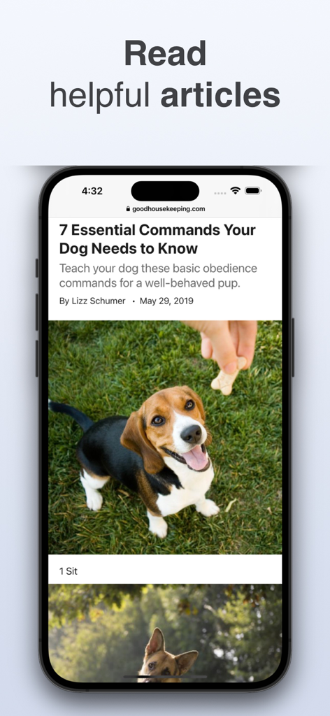 Dog & Cat Translator: Pet Chat - A mobile screen showing a dog training article within the Dog and Cat Translator app