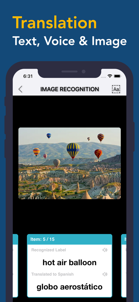 Dictionary & Translator - 辞書と翻訳アプリの画像認識機能が熱気球を識別し、スペイン語に翻訳しています