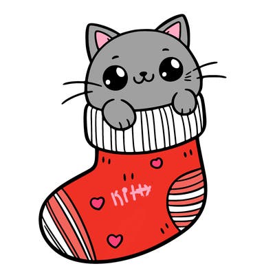cute cat in a sock