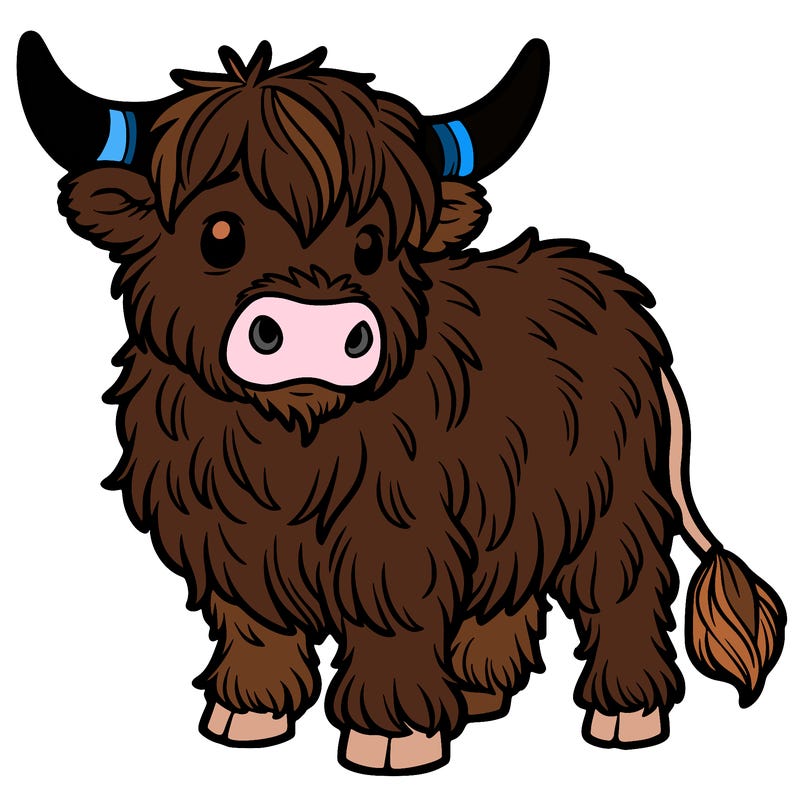 highland cow
