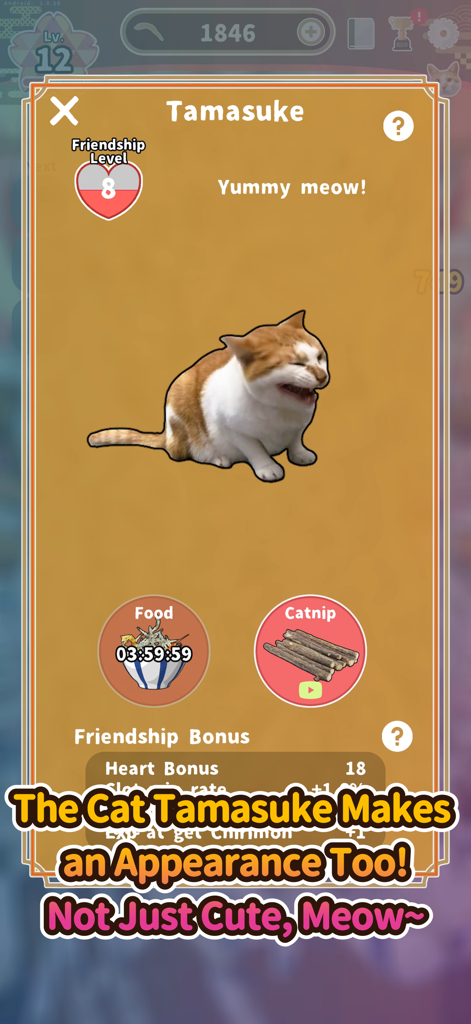 Jako Collection - Tamasuke the cat interface in Jako Collection showing friendship level and feeding options
