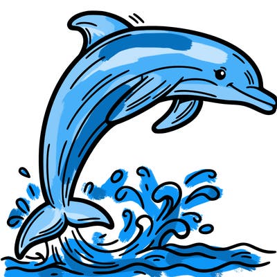 dolphin