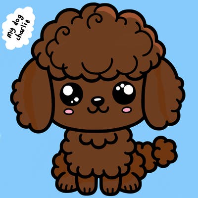 cute poodle