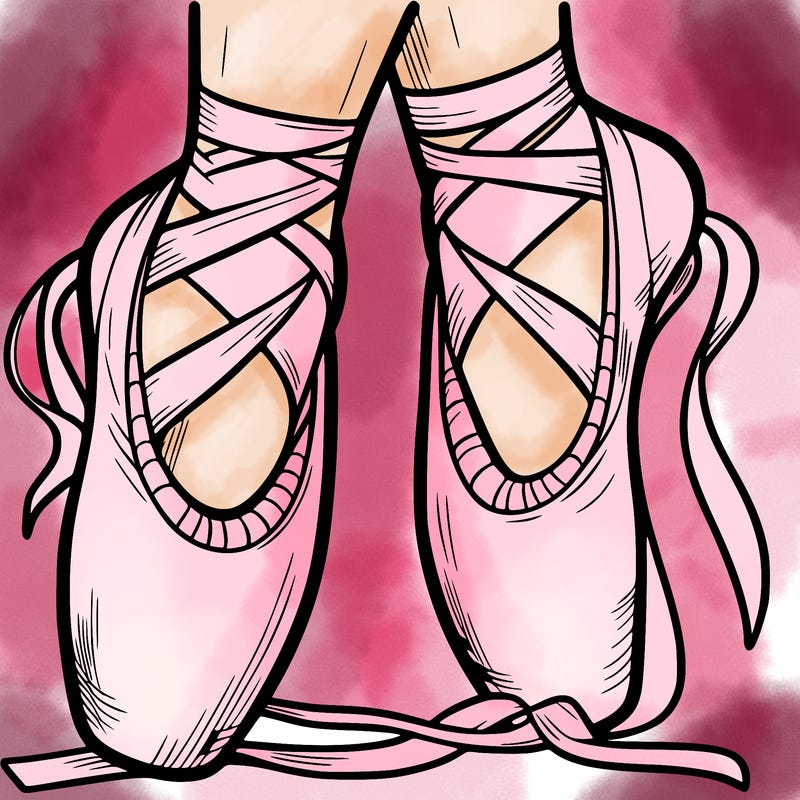 ballet shoes