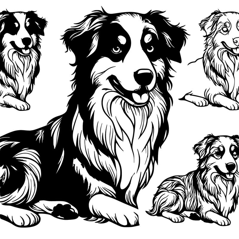 𝓻𝓮𝓪𝓵𝓲𝓼𝓽𝓲𝓬 𝓐𝓾𝓼𝓽𝓻𝓪𝓵𝓲𝓪𝓷 𝓼𝓱𝓮𝓹𝓪𝓻𝓭