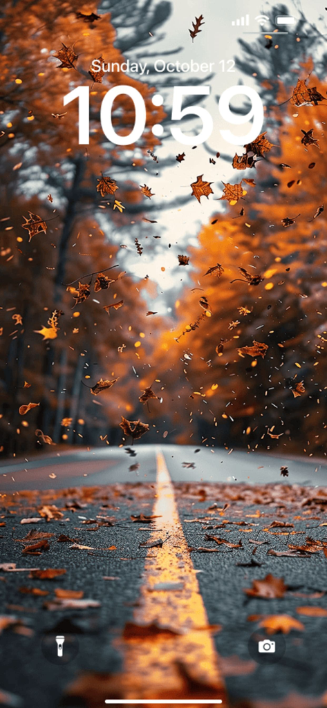 Aesthetic Wallpaper: MoodyWall - Pantalla de bloqueo de iPhone con un fondo de pantalla otoñal estético con hojas cayendo y un camino en el bosque