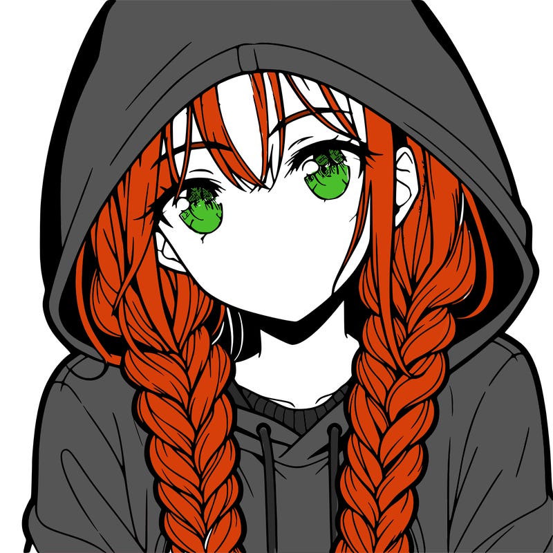anime girl with long braids and hoodie