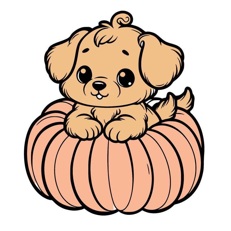 cute little puppy in a pumpkin