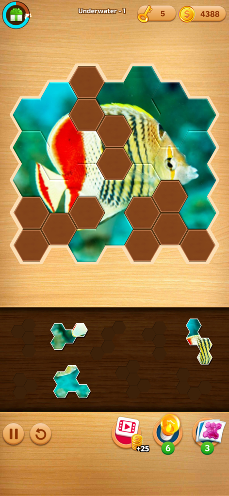 Um quebra-cabeça hexagonal apresentando um peixe tropical colorido em um fundo de madeira