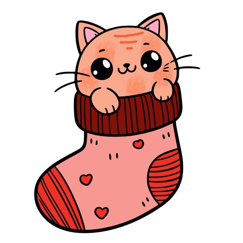 cute cat in a sock