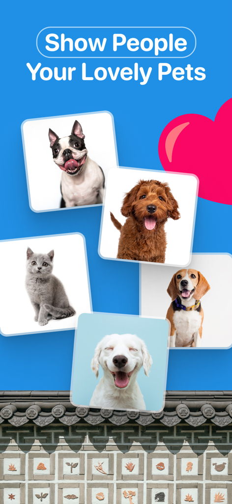 K-Dating: Korean Dating & Chat - Screenshot of K-Dating app showing a feature to share photos of dogs and cats on user profiles.