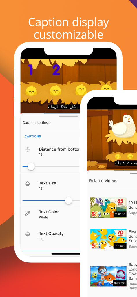 zTranslate - Translate Youtube - Interfaz de usuario que muestra la configuración personalizable de subtítulos para los subtítulos de YouTube en la aplicación zTranslate