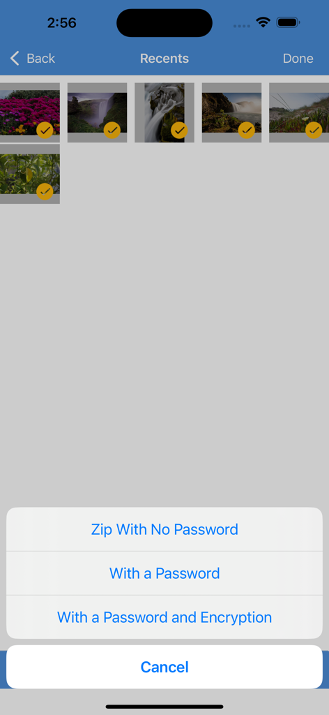 The iZip app interface showing options to zip selected photos with no password, a password, or password and encryption.