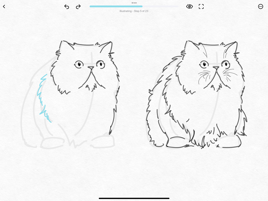 Guided drawing tutorial of a cat on iPad using ShadowDraw