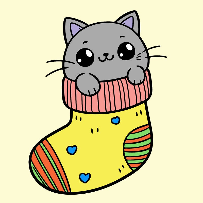 cute cat in a sock