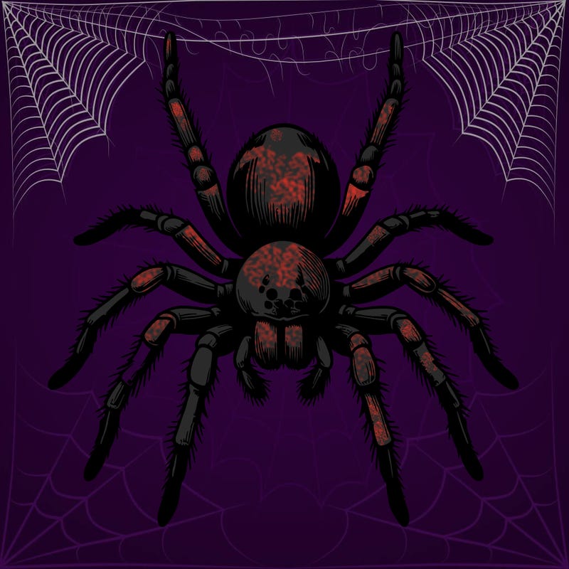 realistic spider