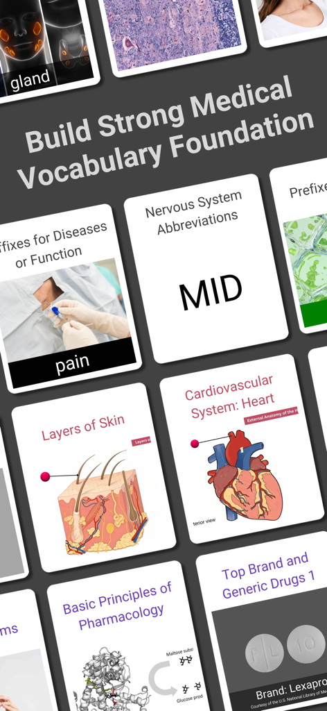 Medical Findings - A collection of medical study cards for learning anatomy and pharmacology terminology.