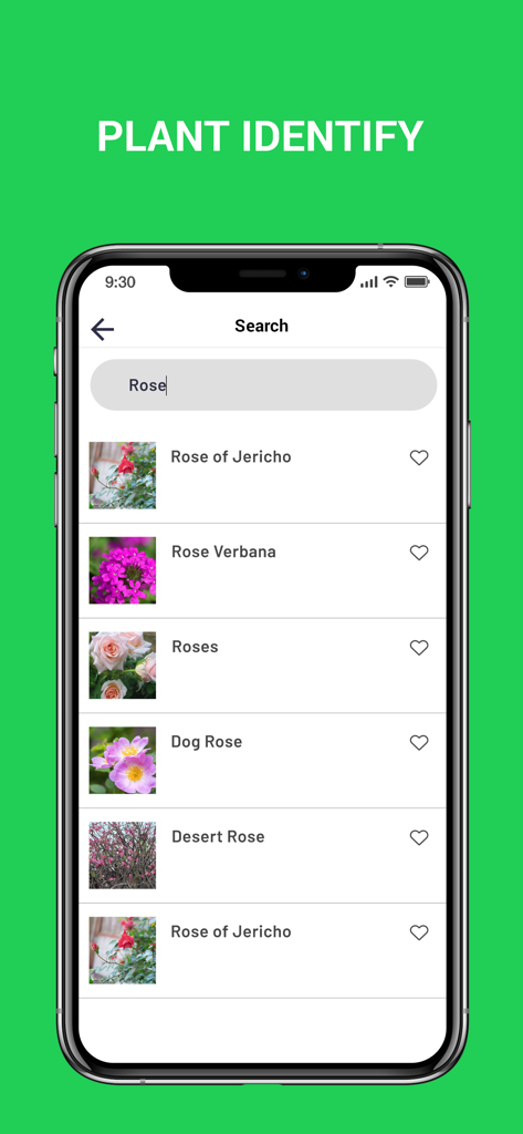 Plant Snap : Identify Plant - Schermata dell'app mobile che mostra i risultati di ricerca per diversi tipi di rose all'interno dello strumento di identificazione delle piante