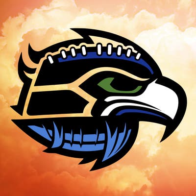 the nfl team logo the seahawks