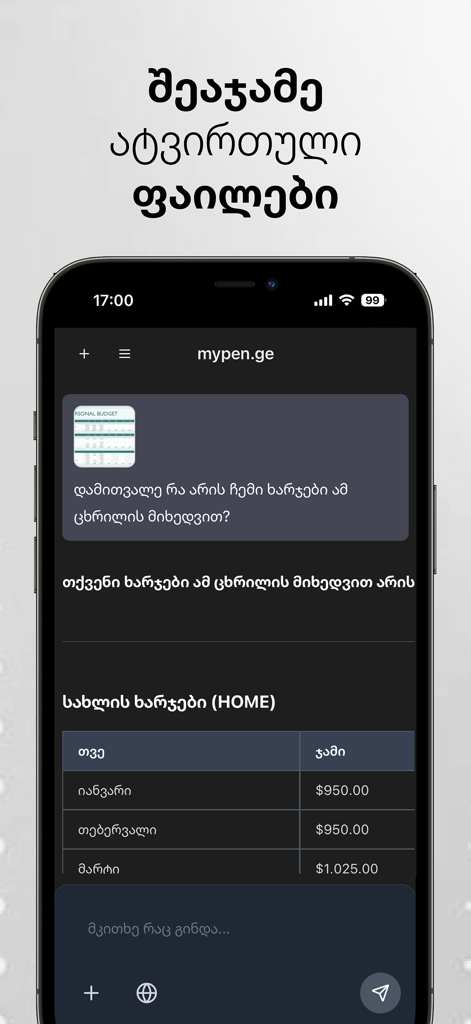 Mypen.ge - Mypen.ge mobile app analyzing an uploaded personal budget spreadsheet in Georgian.