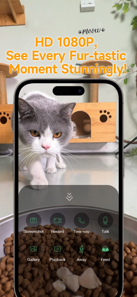 Smartphone screen showing the Petoneer app with a live HD camera feed of a cat and remote feeding controls