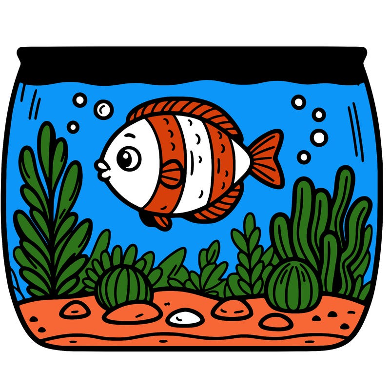 a fish in an aquarium