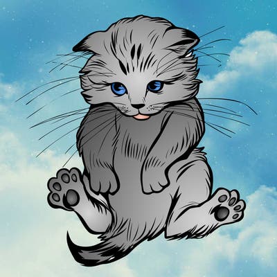 animals_20