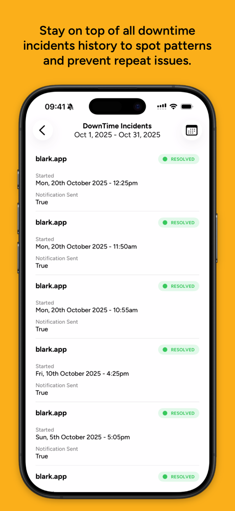 Plomer: Website Monitoring - Captura de pantalla de iPhone que muestra una lista detallada de incidentes de inactividad del sitio web resueltos en la aplicación de monitorización Plomer.