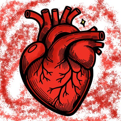realisticl heart