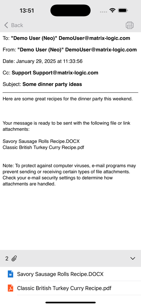 MSG View - Captura de tela do aplicativo MSG View exibindo um e-mail Outlook com vários anexos de arquivo no iPhone